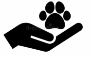 Healing Paws Holistic Therapies